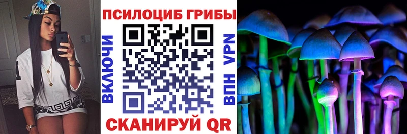 Купить закладки  Змеиногорск  Псилоцибиновые грибы Cubensis 